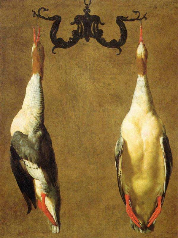 Dandini, Cesare Two Hanged Teals France oil painting art